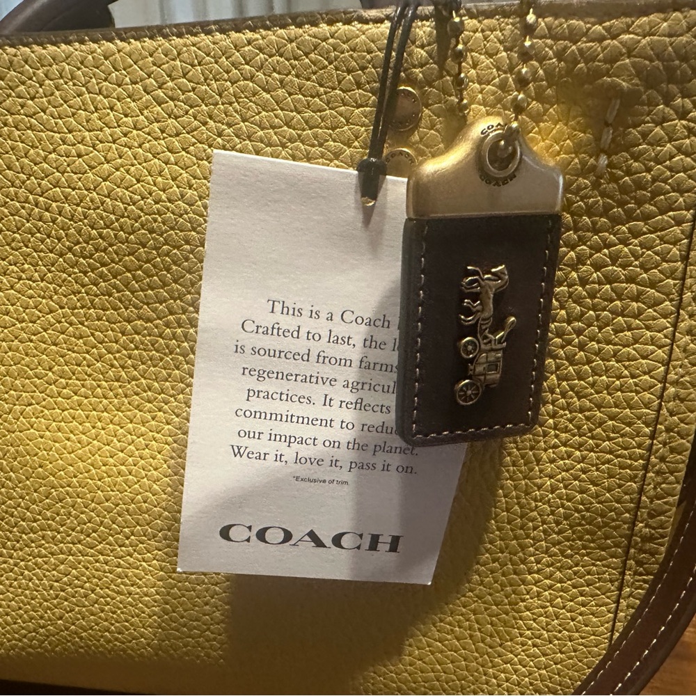 Coach Rogue 25 In Regenerative Leather in colorblock HAY - Picture 5 of 16